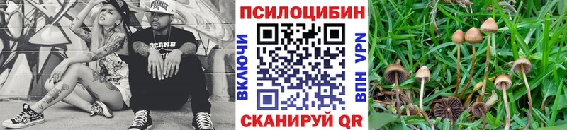 Псилоцибиновые грибы MAGIC MUSHROOMS Билибино